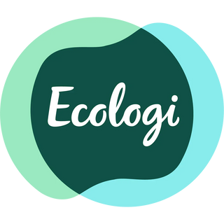 My environmental policies ...