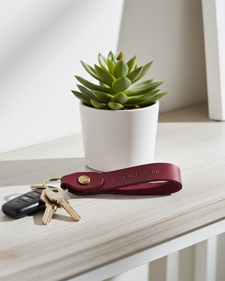 Red keychain with keys and a potted plant on a wooden surface