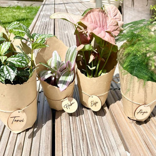 Personalised little wooden teacher tags